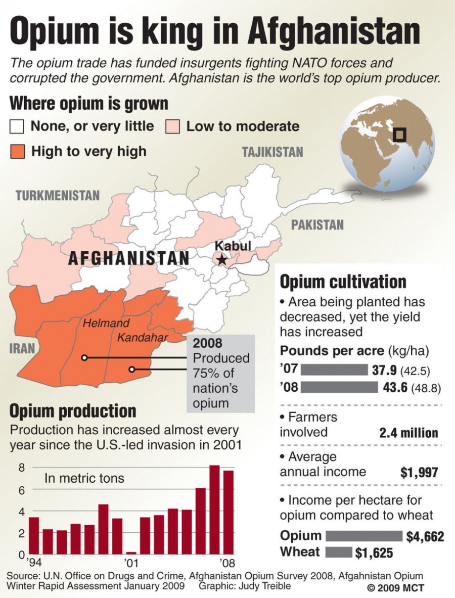 opium in afghanistan